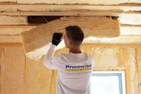 Best Eco-Friendly or Green Insulation Solutions  in Indian River Shores, FL